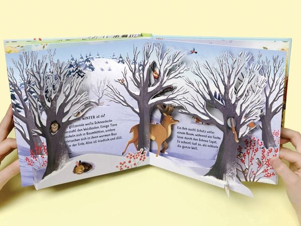 Mein erstes Pop-up-Buch: Die Jahreszeiten
