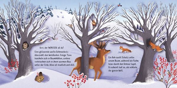 Mein erstes Pop-up-Buch: Die Jahreszeiten