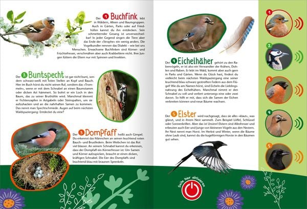 Mein großes Soundbuch Vögel