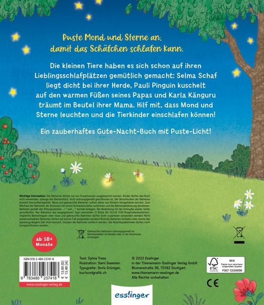 Mein Puste-Licht-Buch: Ein Sternlein wacht in dunkler Nacht