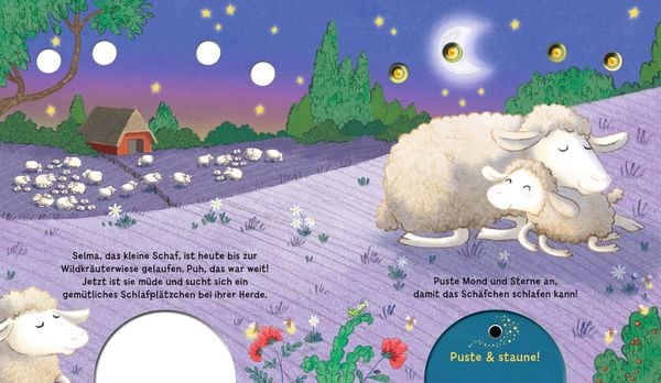Mein Puste-Licht-Buch: Ein Sternlein wacht in dunkler Nacht