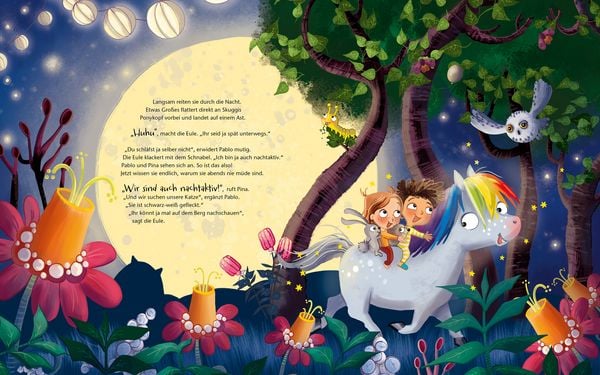 Pony, Mond und Sterne