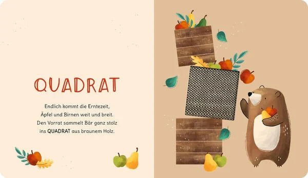 Schau und fühl mal, kleiner Bär!