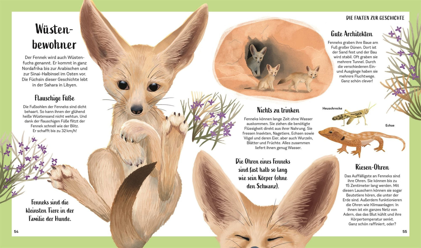 Tiergeschichten zum Träumen. Zauber der Nacht