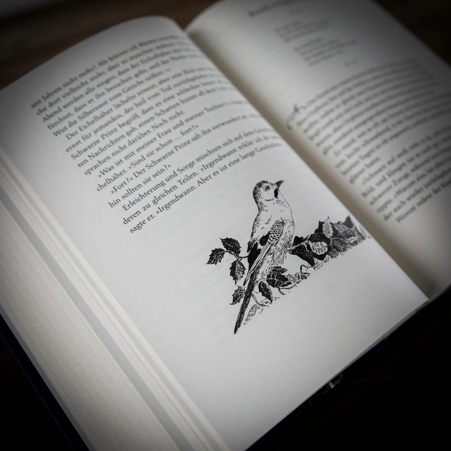 Tintenwelt 3. Tintentod