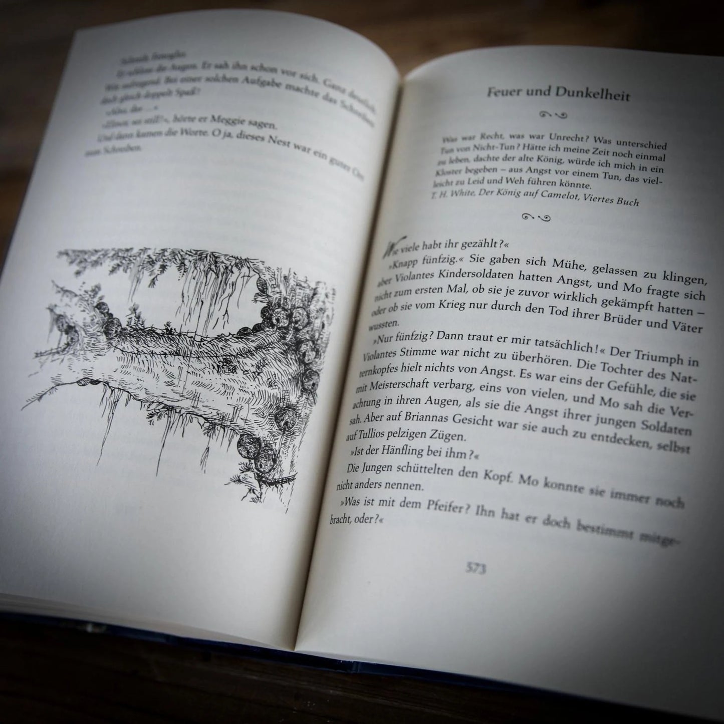 Tintenwelt 3. Tintentod