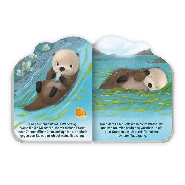 TRÖTSCH - Pappenbuch Der kleine Otter| Ab 1 Jahr