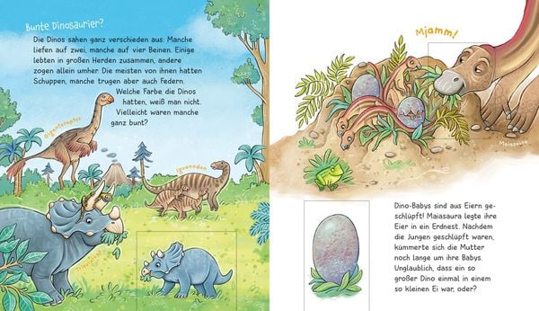 WAS IST WAS Meine Welt Band 5 WOW! Dinos!