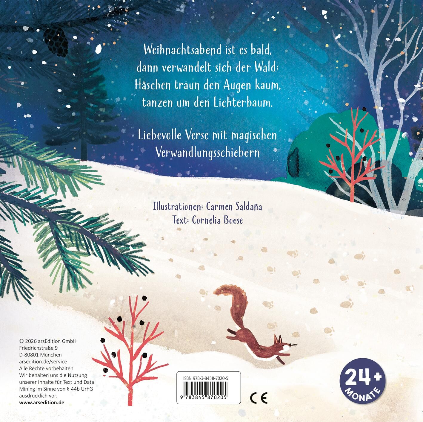 Wenn es weihnachtet im Wald