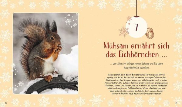 Wundervolle Welt. Adventskalender