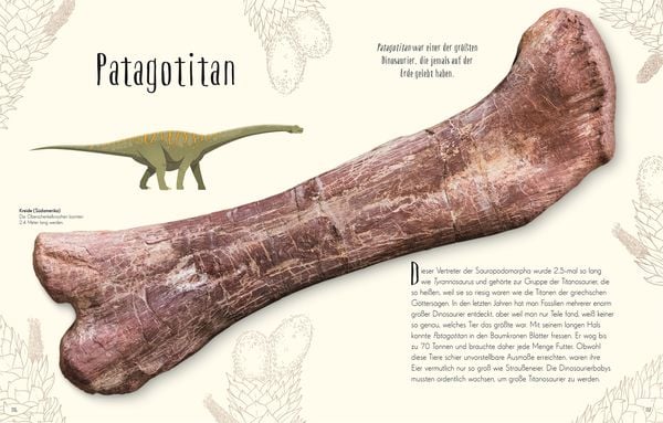 Wundervolle Welt der Dinosaurier und der Urzeit