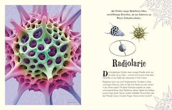 Wundervolle Welt der Natur