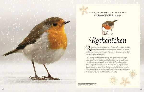 Wundervolle Welt der Vögel