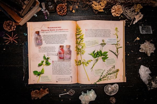 Zauberstäbe und ihre Geheimnisse