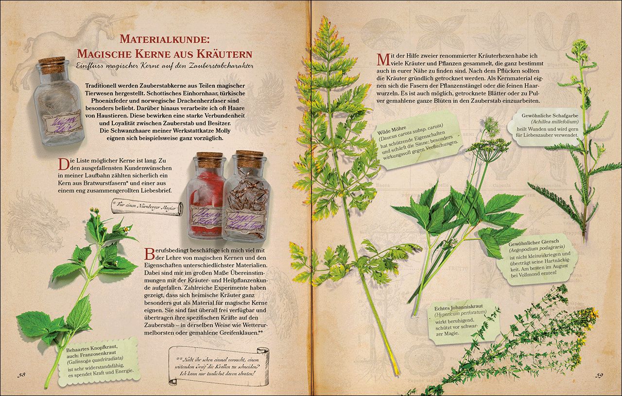 Zauberstäbe und ihre Geheimnisse