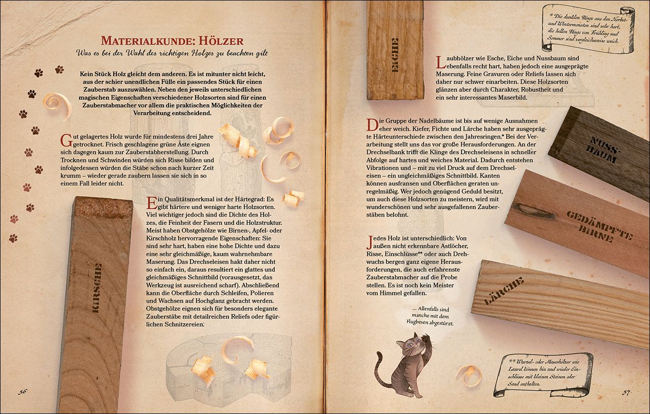 Zauberstäbe und ihre Geheimnisse